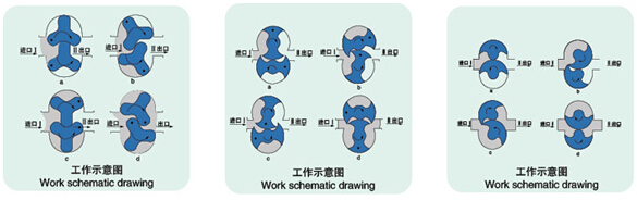 LQ系列衛(wèi)生級凸輪轉子泵結構圖