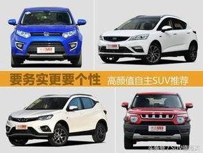 精品国产自,探索我国自主创新的辉煌成就